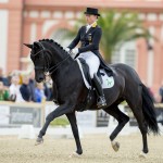 Wiesbaden - Pfingstturnier 2016 Wiesbaden - Pfingstturnier 2016