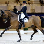 Sports Equestres Dressage 09/12/2016 CHI GENEVE World Dressage Masters Grand Prix Dressage Werth Isabell (GER) - EMILIO Sports Equestres Dressage 09/12/2016 CHI GENEVE World Dressage Masters Grand Prix Dressage Werth Isabell (GER) - EMILIO